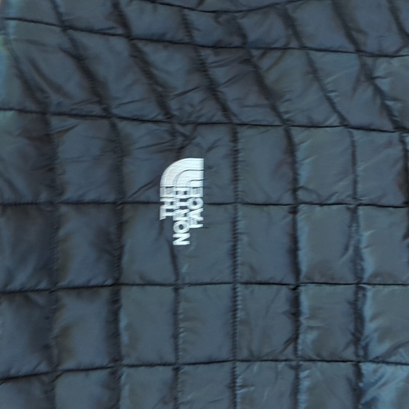 THE NORTH FACE Thermoball Mens L Black Jacket/Coat 2018 IC Flags RARE $215 NEW - Picture 10 of 10